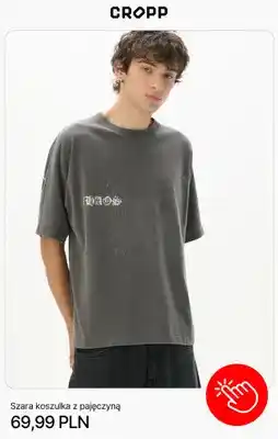 Cropp Koszulka Cropp szara z pajęczyną oferta