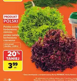 Carrefour Polska sałata karbowana zielona, polska sałata karbowana czerwona oferta