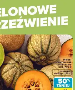 Carrefour Melon CANTALOUPE oferta