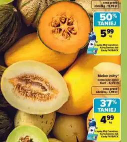 Carrefour Melon żółty oferta
