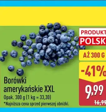ALDI Borówki amerykańskie oferta