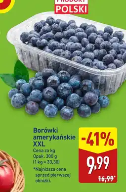 ALDI Borówki amerykańskie Polski oferta