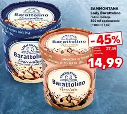 Kaufland Sammontana Lody Barattolino oferta