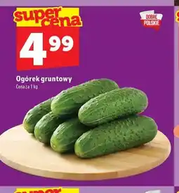 Topaz Ogórek gruntowy oferta