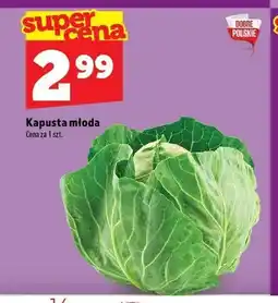 Topaz Kapusta młoda oferta
