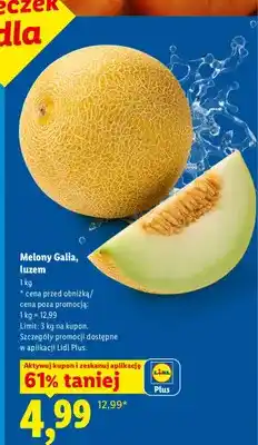 Lidl Melon Galia luzem Ryneczek Lidla oferta