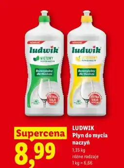 Lidl Płyn do mycia naczyń Ludwik cytrynowy oferta