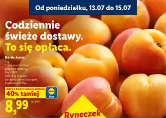 Lidl Morele luzem Ryneczek Lidla oferta