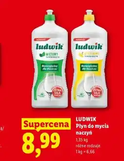 Lidl Płyn do mycia naczyń miętowy Ludwik oferta