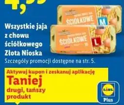 Lidl Jaja Ściółkowe Złota Nioska oferta