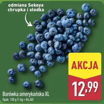ALDI Borówka amerykańska XL oferta