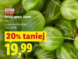 Lidl Polski agrest, luzem oferta