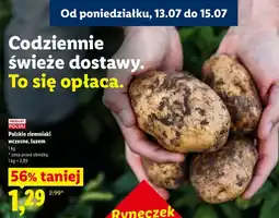 Lidl Polskie ziemniaki wczesne, luzem oferta
