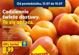 Lidl Morele, luzem oferta