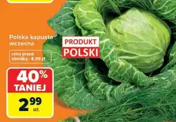 Carrefour Polska kapusta wczesna oferta