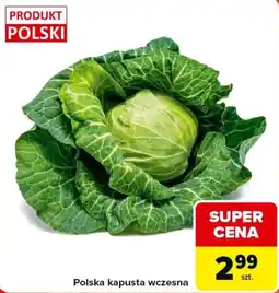 Carrefour Market Polska kapusta wczesna oferta