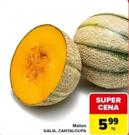 Carrefour Market Melon GALIA, CANTALOUPA oferta