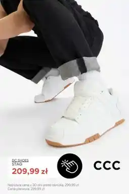 CCC Buty męskie DC Shoes Stag oferta