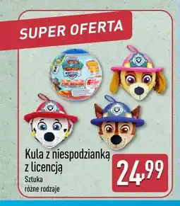 ALDI Kula z niespodzianką z licencją oferta