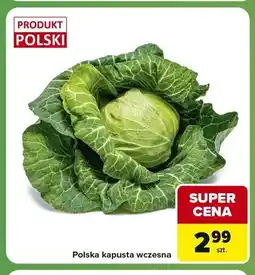 Carrefour Express Kapusta wczesna polska oferta
