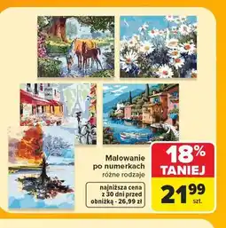 Carrefour Malowanie po numerkach różne rodzaje oferta