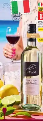 Biedronka Wino białe wytrawne Uvam Pinot Grigio oferta