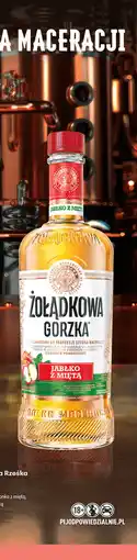 Biedronka Żołądkowa Gorzka Rześka Jabłko z miętą oferta