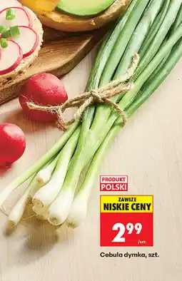 Biedronka Cebula dymka, szt oferta