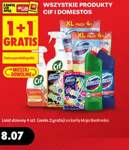 Biedronka Wszystkie produkty Cif i Domestos oferta