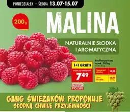 Biedronka Malina polska oferta