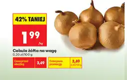 Biedronka Cebula żółta na wagę oferta