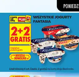 Biedronka WSZYSTKIE JOGURTY FANTASIA oferta