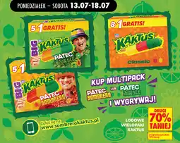 Biedronka Lodowe wielopaki Kaktus oferta