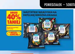 Biedronka Wszystkie warzywa na patelnię mroźna kraina oferta
