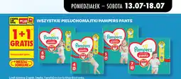 Biedronka Wszystkie pieluchomajtki Pampers Pants oferta