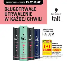 Biedronka Lakier do włosów Taft oferta