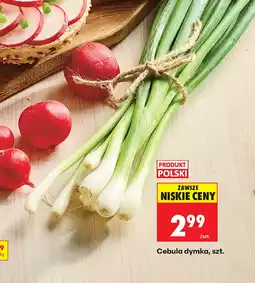 Biedronka Cebula dymka oferta