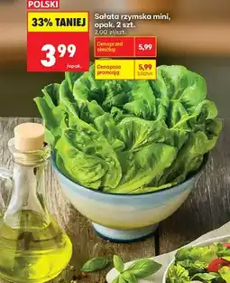 Biedronka Sałata rzymska mini oferta
