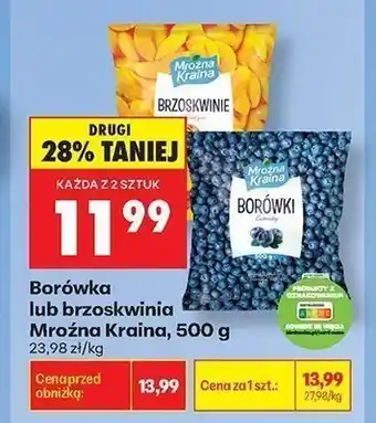 Biedronka Borówka Mroźna Kraina oferta