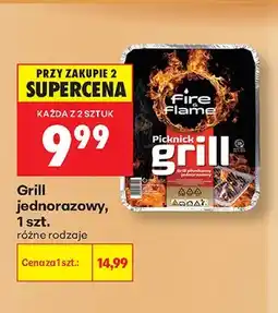 Biedronka Grill jednorazowy Fire & Flame oferta