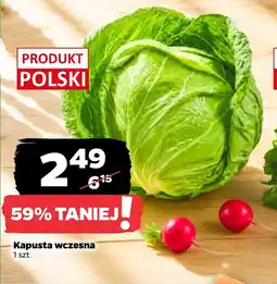 Netto Kapusta Polski oferta