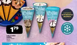 Netto Lody oferta