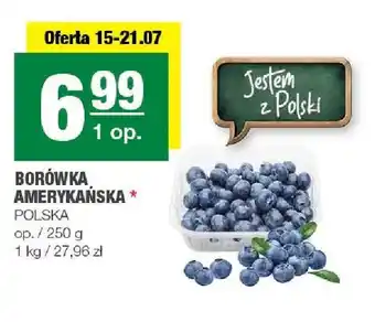 Spar Borówka amerykańska polska oferta