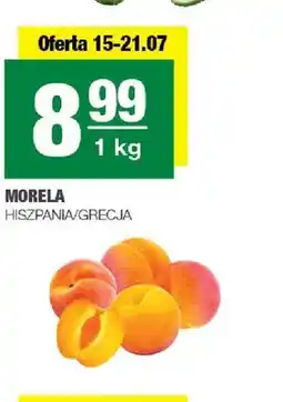 Spar Morela Hiszpania Grecja oferta