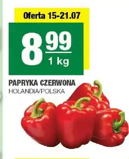 Spar Papryka czerwona Holandia Polska oferta