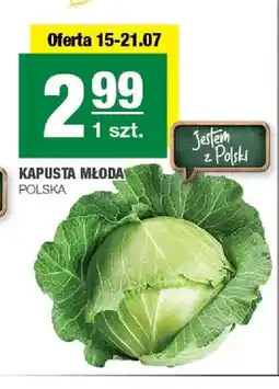 Spar Kapusta młoda oferta