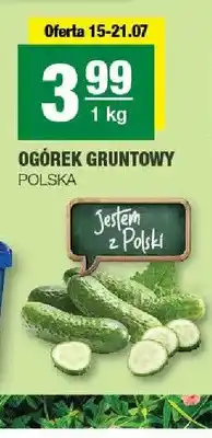 Spar Ogórek gruntowy oferta