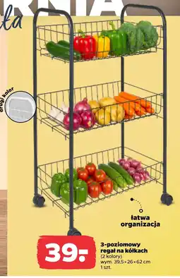 Netto Regał oferta