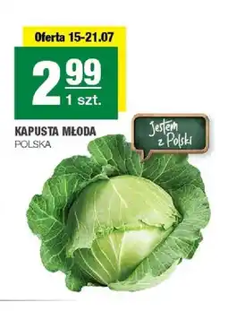 Spar Kapusta młoda polska oferta