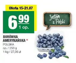 Spar Borówka amerykańska oferta